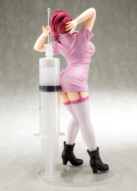 1/6 scaled pre-painted figure worlds end harem AKANE RYUZOJI dress-up nurse 4
