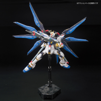 RG 1/144 #14 ZGMF-X20A STRIKE FREEDOM GUNDAM 11