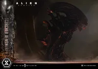 Prime 1 Studio Museum Masterline XL Alien: Romulus Scorched Xenomorph - Alien (Movie Franchise) - photo 14