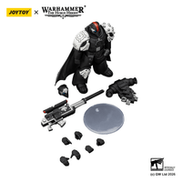 Raven Guard Mor Deythan Shade with Nemesis bolt rifle 12
