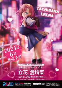 Erena Tachibana 17