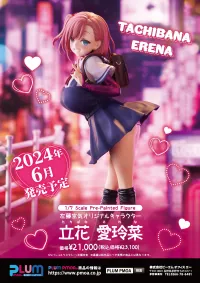 PLUM PMOA Erena Tachibana - Scale Figures - photo 17