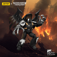 Raven Guard Dark Fury, Chooser of the Slain with Raven's Talon claws 13