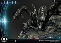 Prime 1 Studio Premium Masterline Aliens (Comics) Tusked Alien Bonus Version - Alien (Movie Franchise) - photo 26