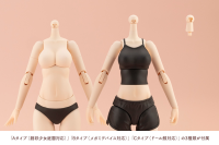 DRESS UP BODY[M] COLOR C Ver. 23