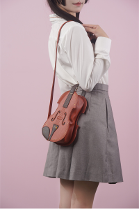 Violin Bag 10