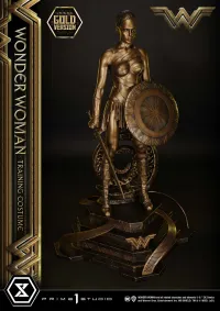 Prime 1 Studio Museum Masterline Wonder Woman (Film) Wonder Woman Training Costume Gold Version - DC Comics - photo 5