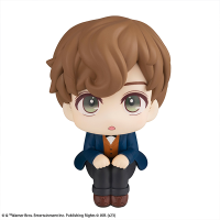Lookup Fantastic Beasts Newt Scamander 10