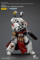 Blood Angels Sanguinary Priest with Heavy bolt pistol, chainsword and narthecium 2