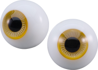 Harmonia bloom Glass Eye Series: Summer (Sun) 2