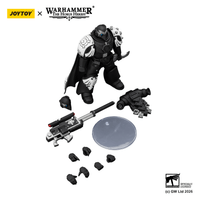 Raven Guard Mor Deythan with Nemesis bolt rifle 12
