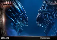 Prime 1 Studio Premium Masterline Aliens (Comics) Rogue Alien Battle Diorama EX Version - Alien (Movie Franchise) - photo 40