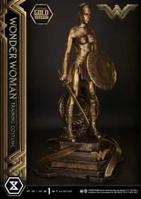 Prime 1 Studio Museum Masterline Wonder Woman (Film) Wonder Woman Training Costume Gold Version - DC Comics - photo 19