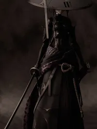 KADOKAWA RONIN - FALSLANDER - photo 9