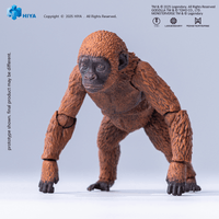 None Scale 14 Inch Godzilla x Kong The New Empire Mothra Premium Set Action Figure 10