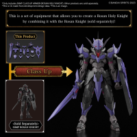 30MF CLASS UP ARMOR (ROSAN HOLY KNIGHT) 6
