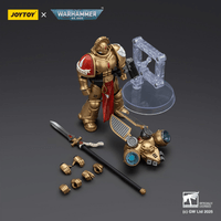 Blood Angels Sanguinary Guard 2 with Angelus Boltgun and Encarmine Spear 11