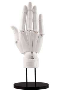 ARTIST SUPPORT ITEM HAND MODEL/R -WHITE- 5
