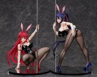 FREEing Akeno Himejima: Bunny Ver. 2nd - High School DxD - photo 9