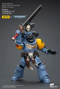 JOYTOY Space Marines Space Wolves Claw Pack Brother Torrvald - Warhammer 40K - photo 7