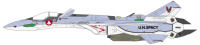 1/48  VF-19A "VF-X RAVENS" 4