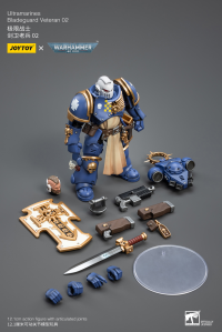 Ultramarines Bladeguard Veteran 02 2