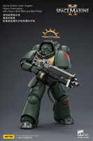 Game Edition Dark Angels Heavy Intercessor with Heavy Bolt Rifle and Bolt Pistol 17