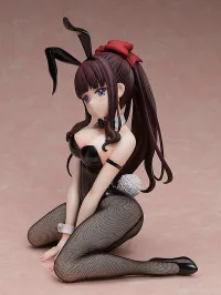 FREEing Hifumi Takimoto: Bunny Ver. - NEW GAME!! - photo 4