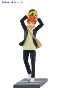 TENITOL HINATA SHOYO 12
