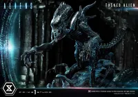 Prime 1 Studio Premium Masterline Aliens (Comics) Tusked Alien Bonus Version - Alien (Movie Franchise) - photo 62