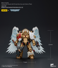 Blood Angels Sanguinary Guard with Encarmine Axe and Inferno Pistol 3