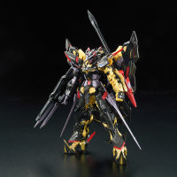 RG 1/144 #24 Gundam Astray Gold Frame Amatsu Mina 4