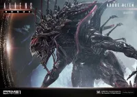 Prime 1 Studio Premium Masterline Aliens (Comics) Rogue Alien Battle Diorama EX Version - Alien (Movie Franchise) - photo 56