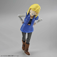 Figure-rise Standard ANDROID No. 18 (Renewal Version) 8