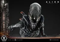 Prime 1 Studio Museum Masterline XL Alien: Romulus Scorched Xenomorph Deluxe Bonus Version - Alien (Movie Franchise) - photo 22