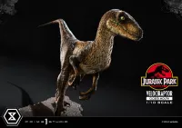 Prime 1 Studio Prime Collectible Figures  Jurassic Park (Film)  Velociraptor  Closed Mouth - Jurassic Park - photo 12