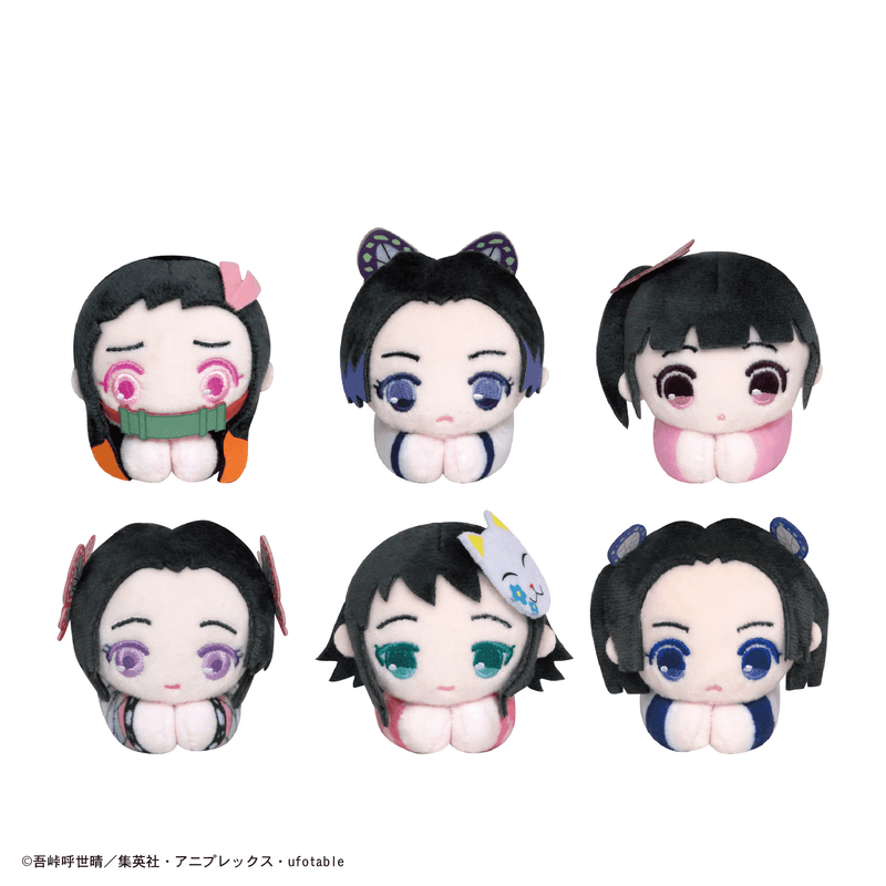 Demon Slayer HUG CHARACTER COLLECTION5