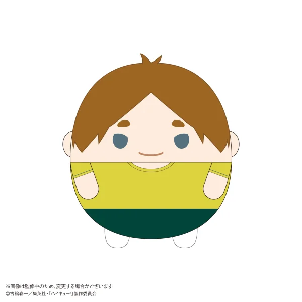 MAX LIMITED Haikyu!! FUWA KORORIN BIG 10 (Item E) - Haikyu!!