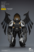 Raven Guard Dark Fury with Lightning Claws 14