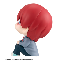 Lookup My Hero Academia Shoto Todoroki 8