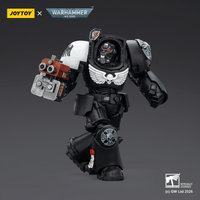 Raven Guard Terminator 2 with Power Fist and Storm Bolter 7