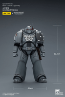 Space Wolves MKVI Tactical Legionary 20