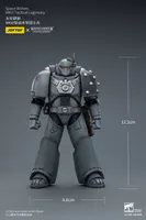 JOYTOY Space Wolves MKVI Tactical Legionary - Warhammer 40K - photo 20