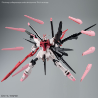HG 1/144 GUNDAM PERFECT STRIKE FREEDOM ROUGE 1