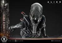 Prime 1 Studio Museum Masterline XL Alien: Romulus Scorched Xenomorph - Alien (Movie Franchise) - photo 39