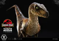Prime 1 Studio Prime Collectible Figures  Jurassic Park (Film)  Velociraptor  Closed Mouth - Jurassic Park - photo 11