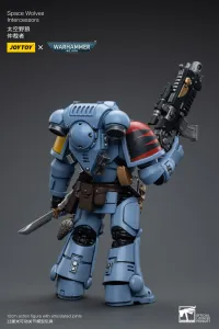 JOYTOY Space Wolves Intercessors - Warhammer 40K - photo 6