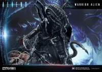 Prime 1 Studio Premium Masterline Aliens (Comics) Warrior Alien DX Bonus Version - Alien (Movie Franchise) - photo 11
