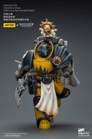 Imperial Fists Librarian Consul with Force Axe and Bolt Pistol 5