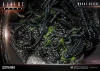 Prime 1 Studio Premium Masterline Aliens (Comics) Rogue Alien Battle Diorama - Alien (Movie Franchise) - photo 49